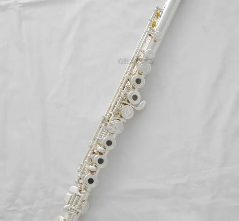 Hot sale  Professional Silver Flute 17 Open Holes B Foot French Point Key with Case