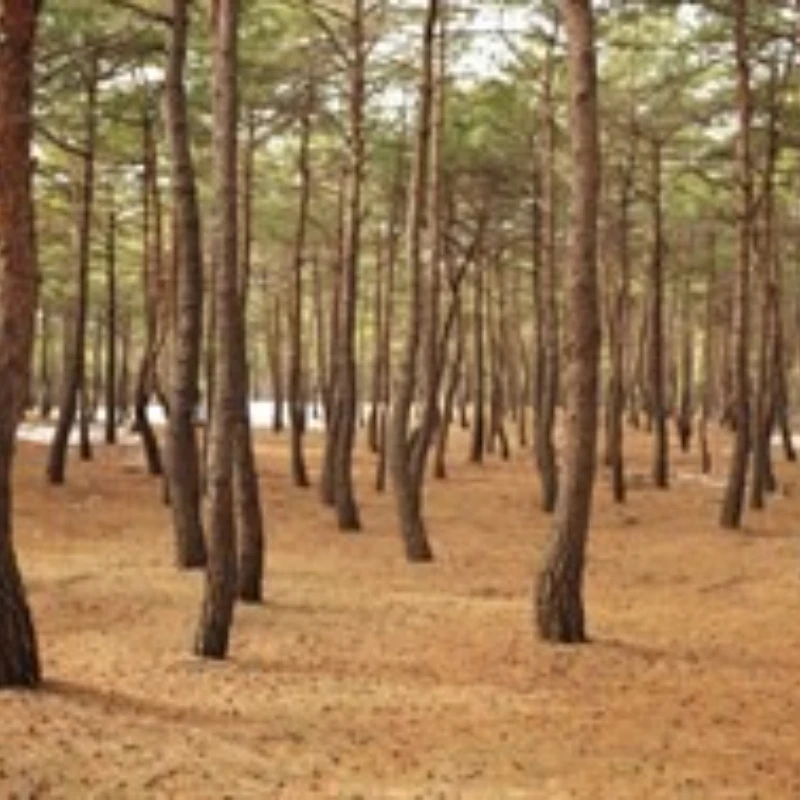 Kits de cadre FPV HGLRC Talon 2 pouces pour drone Cinewhoop FPV analogique/O3 2 pouces