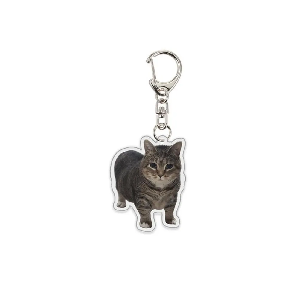 Sand Sculpture Texture Cartoon Cat Keychain Compact Size Lightweight Cat Head Bag Pendant Fun Meme Cat Keychain