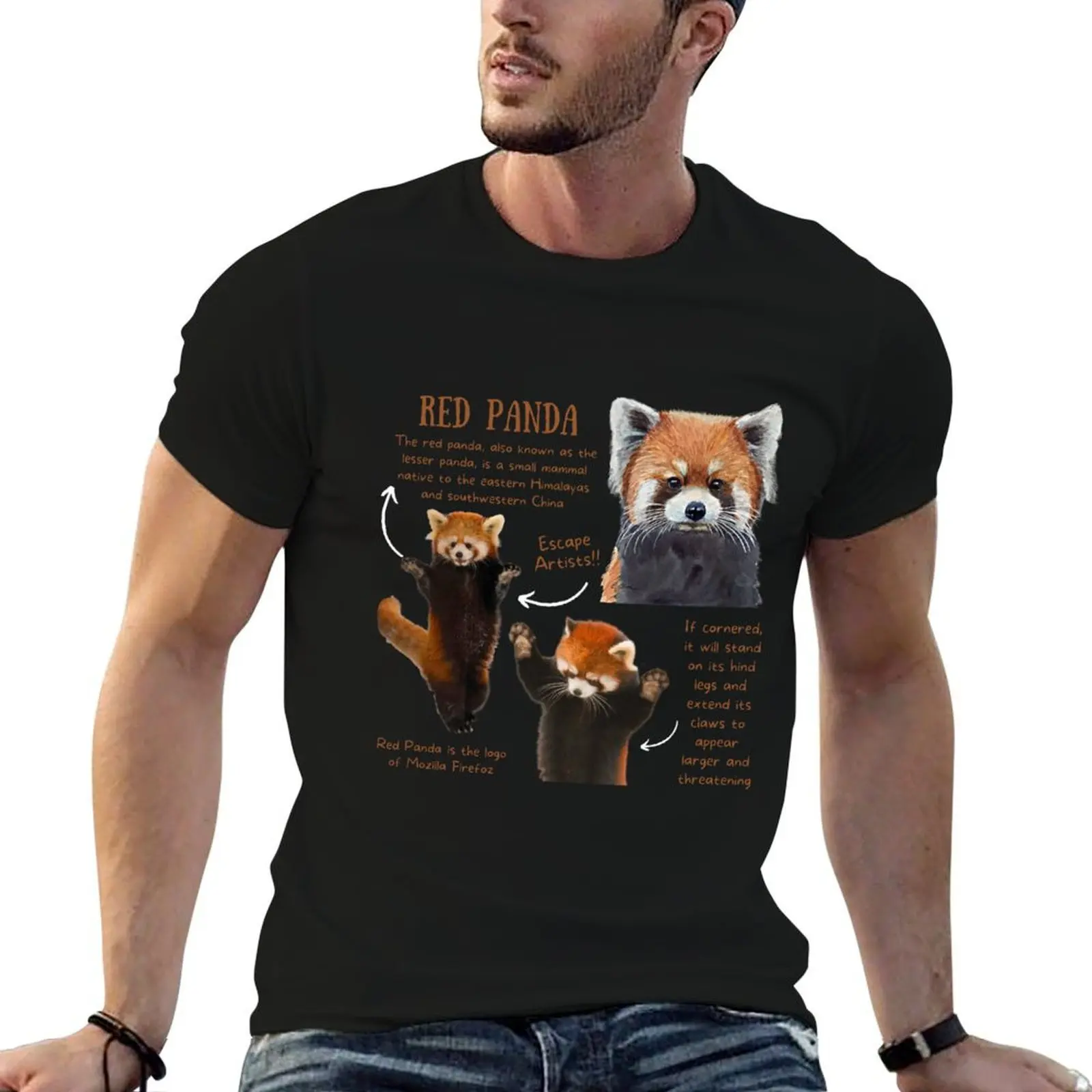 Red Panda Fun Facts T-Shirt customs affliction shirts men clothing
