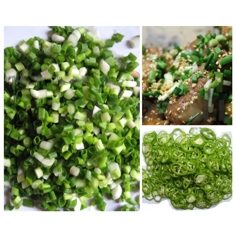 Cortadora eléctrica multifunción, cortadora de cebollas verdes, cortadora de verduras de acero inoxidable