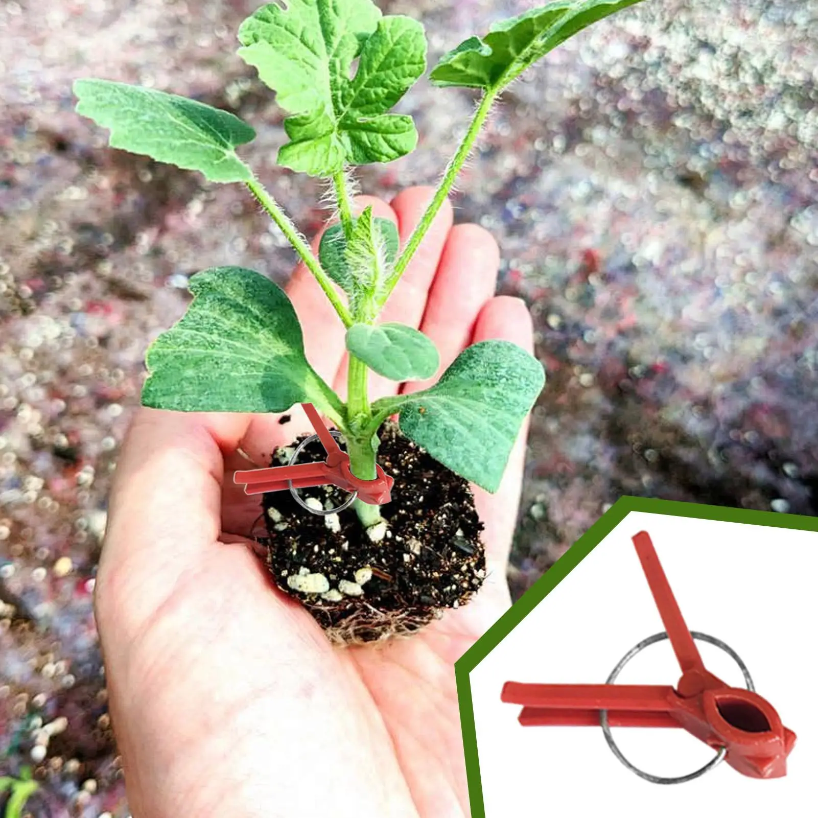 Grafting Clips For Tomatoes Pack Of 50 Tomato Seedling Grafting Clip Falt Mouth Hooks Connecting Gardening Tool
