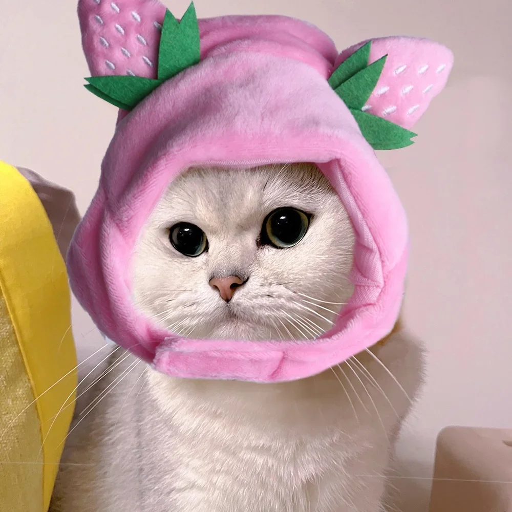 Haustierkopf Erdbeermütze Niedlicher kreativer Kopfschmuck Plüsch Katzenmütze