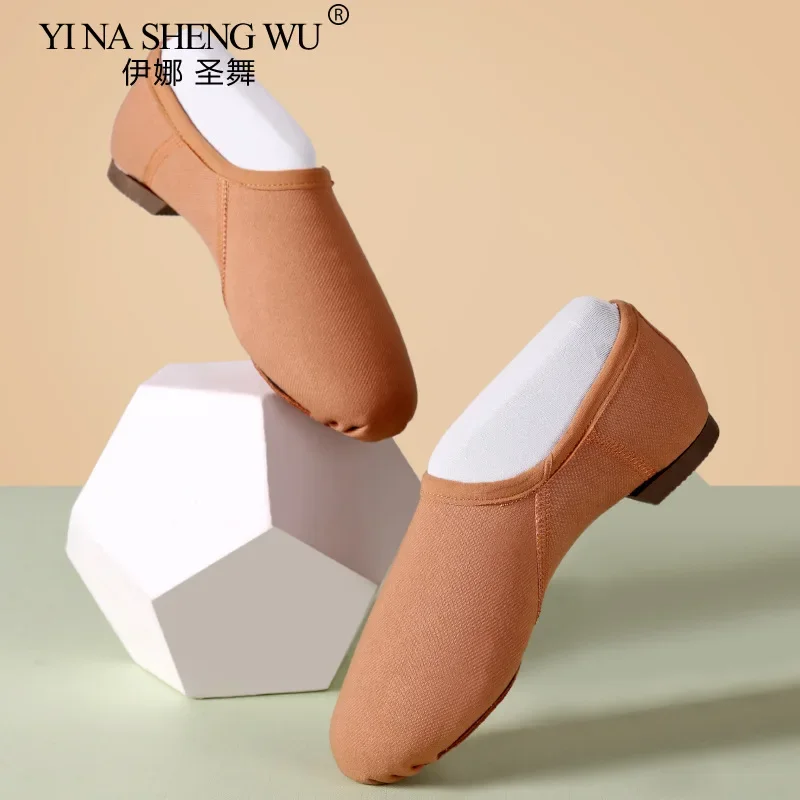 

Женские балетные туфли для джазовых танцев, эластичные, с мягкой подошвой, для выступлений в помещении, тренировочные, для взрослых, классические танцевальные туфли для практики