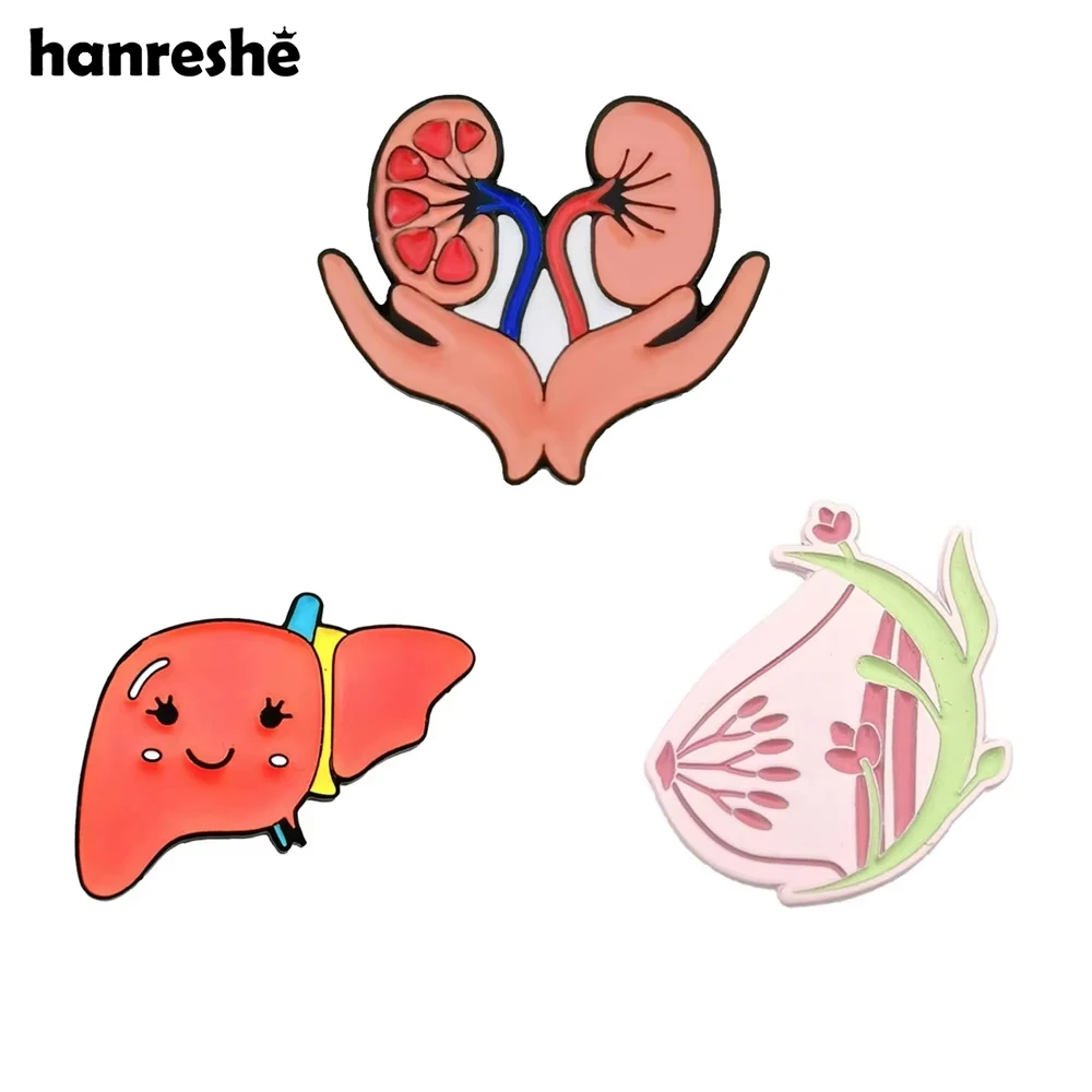 Hanreshe Cute Medical Enamel Brooch Pins Liver and Kidney Breast Lapel Badge Anatomy Visceral Pin Jewelry for Doctors Nurses