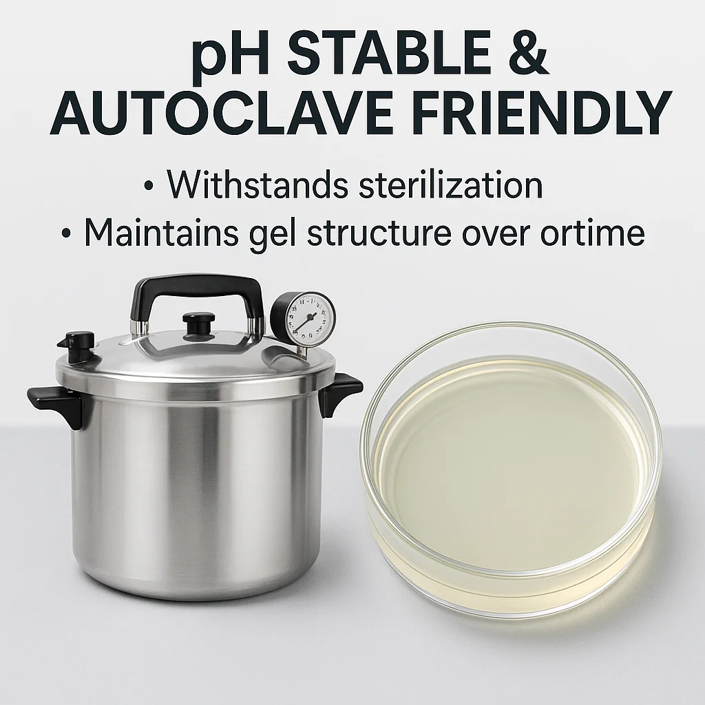 Agar Powder 250g 100g High Purity for Lipid Culture Medium Microbiology Lab Use