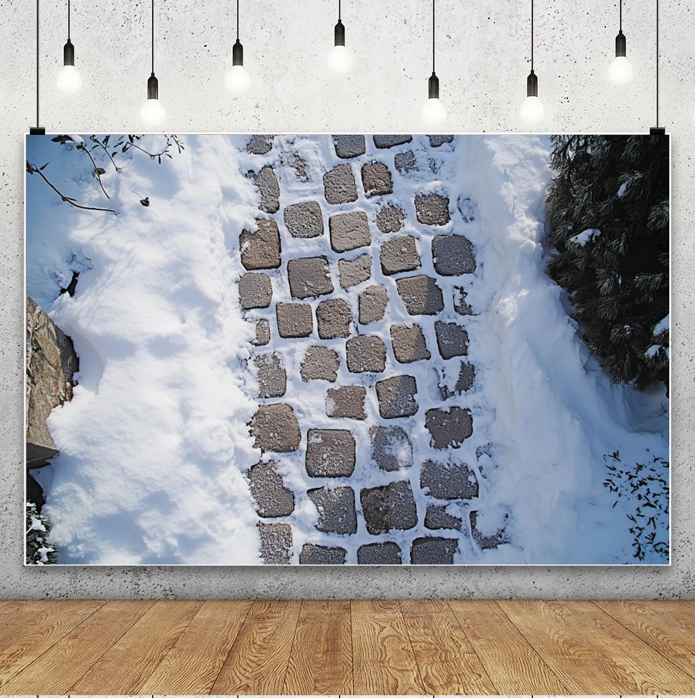 Winter Christmas photography backdrop Snow Floor Snowflake Xmas Party Kids Family Portrait Decor Background Photo Studio Props