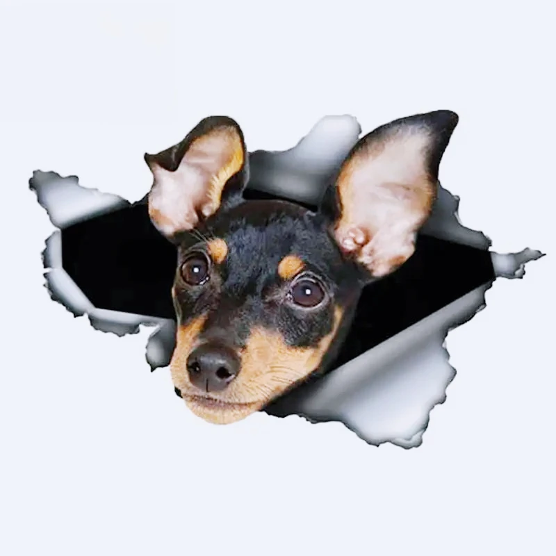 Para pegatina de coche Pinscher en miniatura, calcomanía de Metal rasgada, calcomanías de coche 3D impermeables, pegatinas de vinilo reflectantes, 13cm x 8,5 cm, PVC KK