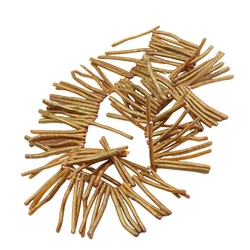 Irregular Tiny Branch Golden Coral Beads Good Quality Charms For Jewelry Making Diy Tribal Necklaces Earrings Accessories  Gifts