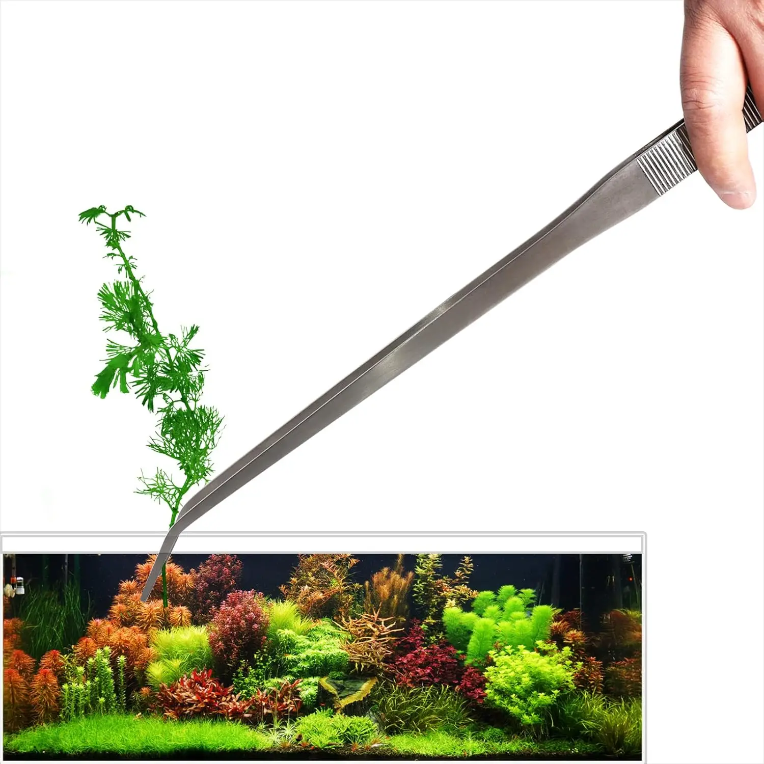 Aquarium Ultra Long Stainless Steel Tweezers for Fish Tank, Large Metal Feeding Forceps for Fish Tank, Fish Tank Tweezers