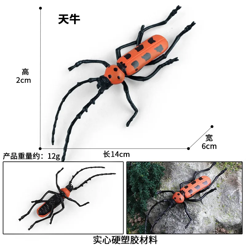 Educazione dei bambini puntelli cognitivi simulazione giocattoli per insetti insetto d'acqua gigante Mantis Longicorn Spider Beetle figure modello animale