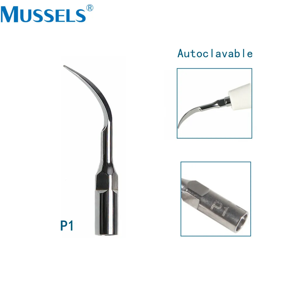 5ชิ้นอุปกรณ์ขูดหินปูนอัลตร้าโซนิคสำหรับทันตกรรมเครื่องมือทันตกรรมรากฟันเหมาะสำหรับ EMS นกหัวขวาน Satelec DTE Scaling handpiece ทันตแพทย์ทันตแพทย์ P3 PD1