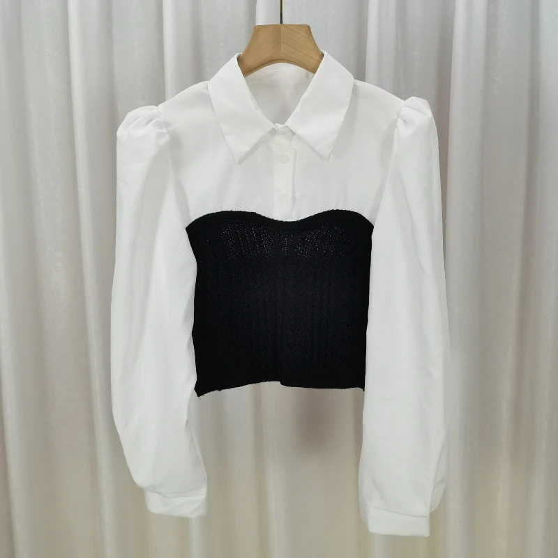 

Новинка 202, женский осенний пуловер с длинными рукавами, однотонные универсальные футболки с лацканами и воротником-поло, вязаный низ, топ из двух предметов B258