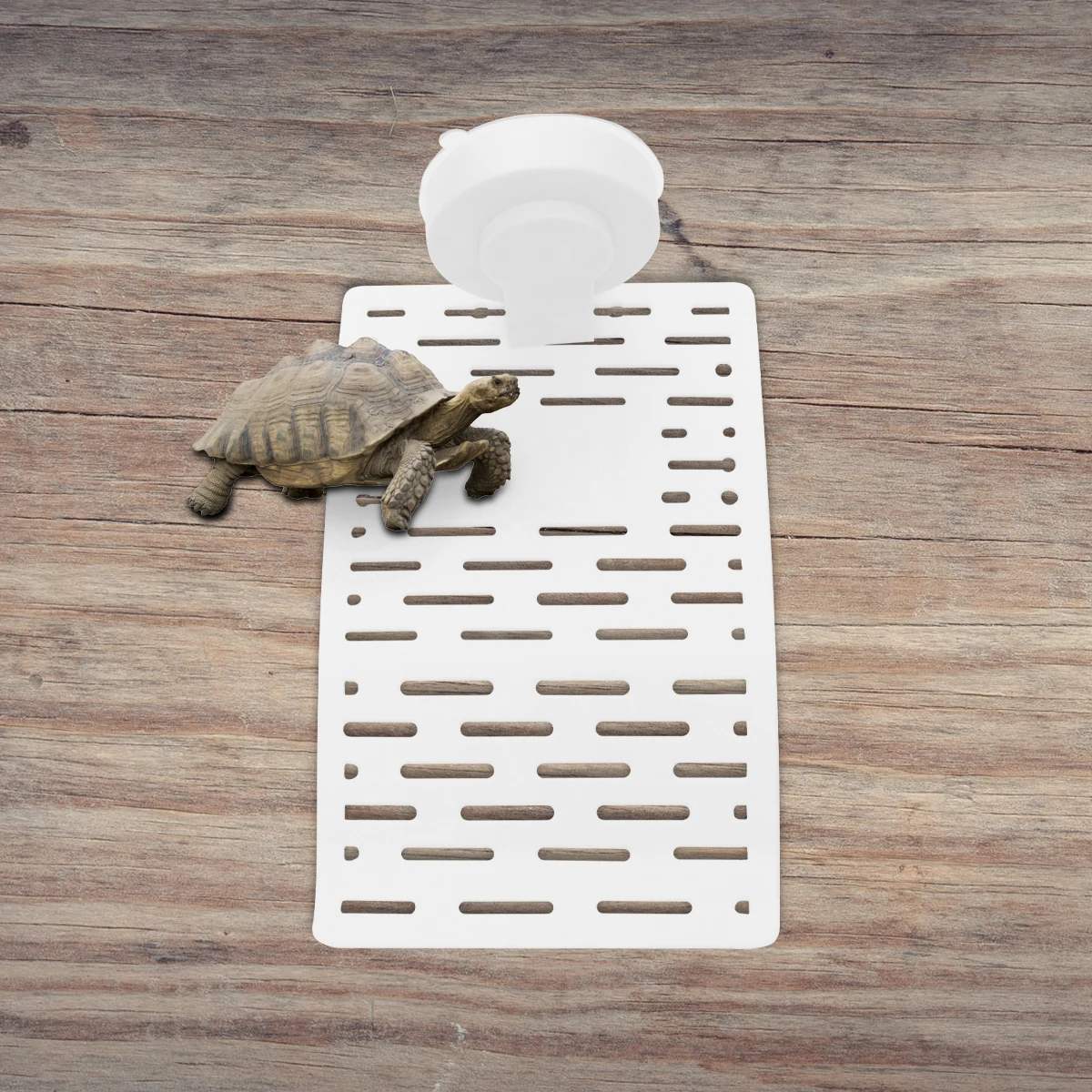 

1Pcs Turtle Climbing Platform Creative Climb Slope Sun Basking Stand for Reptile Aquarium Fish Tank Habitat Decoration