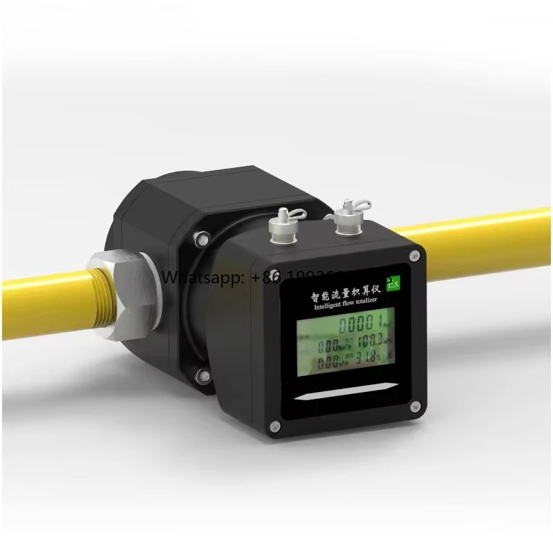 

Intelligent Digital Smart Methane Gas Flow Meter LPG Roots Inline Flue Gas Flow Meter OEM Customizable Roots Flowmeter