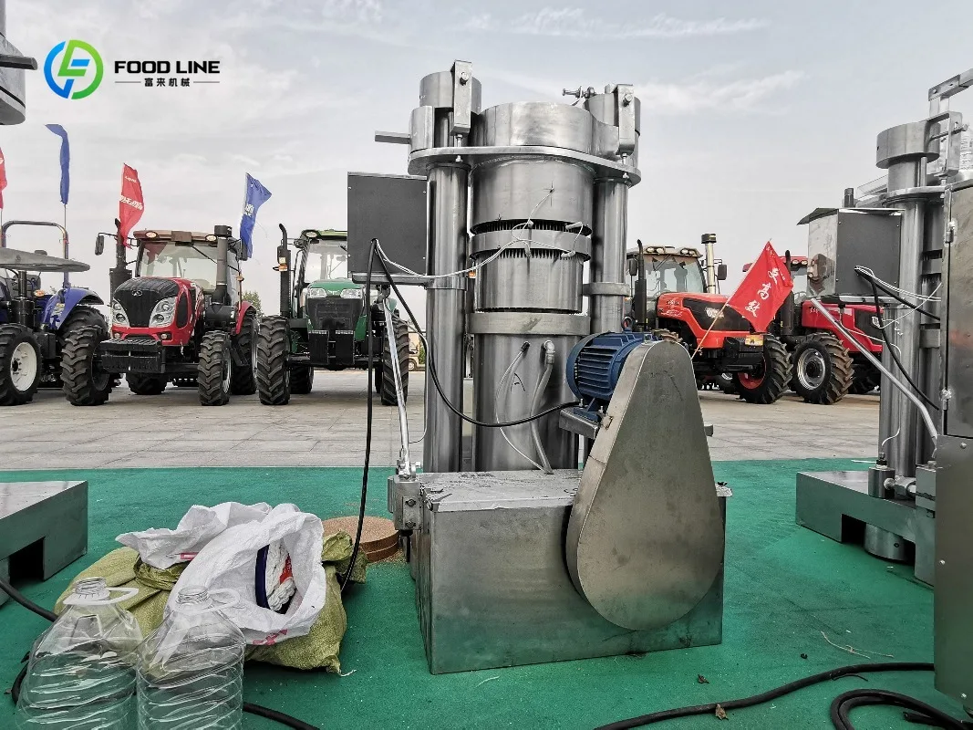 Customized Automatic Garlic Ginger & Soybean Oil Extraction Plant Machine Oil Hydraulic Cold Press High Capacity