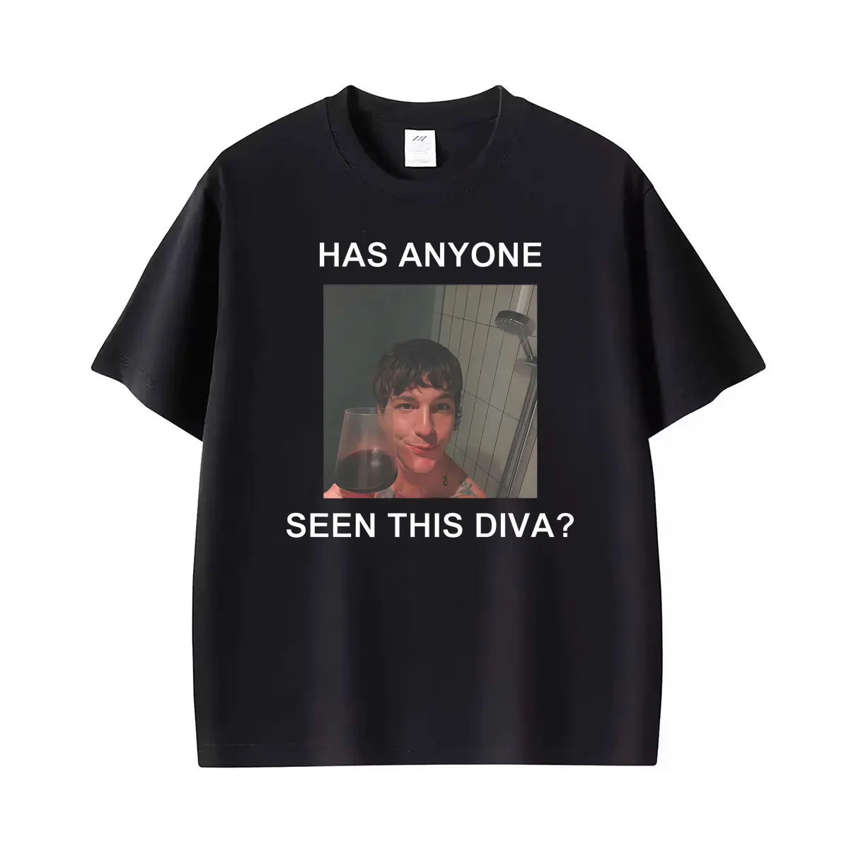Role Model 'Has Anyone Seen This Diva?' Unisex Tee Shirt Women's Clothing Vintage Style T-shirt O-Neck High T Shirt