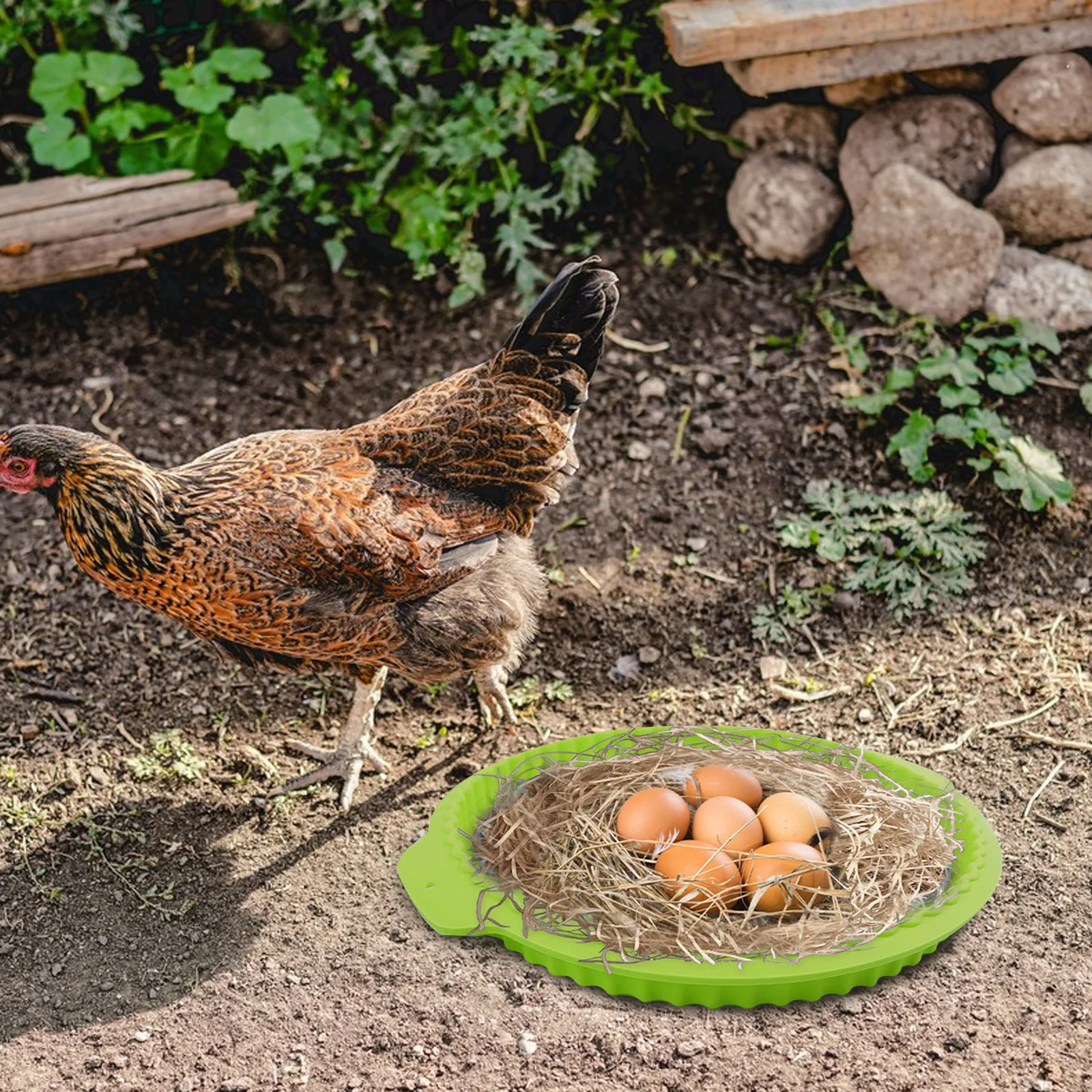 

Laying Eggs Pads Chicken Coop Mat along with Bedding for Snack Light Green Silica Gel Cheese Cake Mold