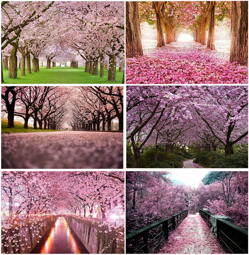 

Natural Spring Scenic Photography Pink Flowers Blossom Trees Alley River Backdrops Interior Decor Newborn Portrait Backgrounds