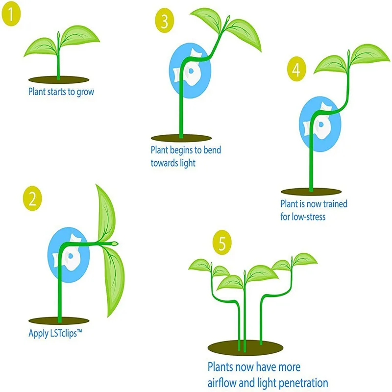 

Инструмент для формирования растений, зажим, приспособление для световой стимуляции растений