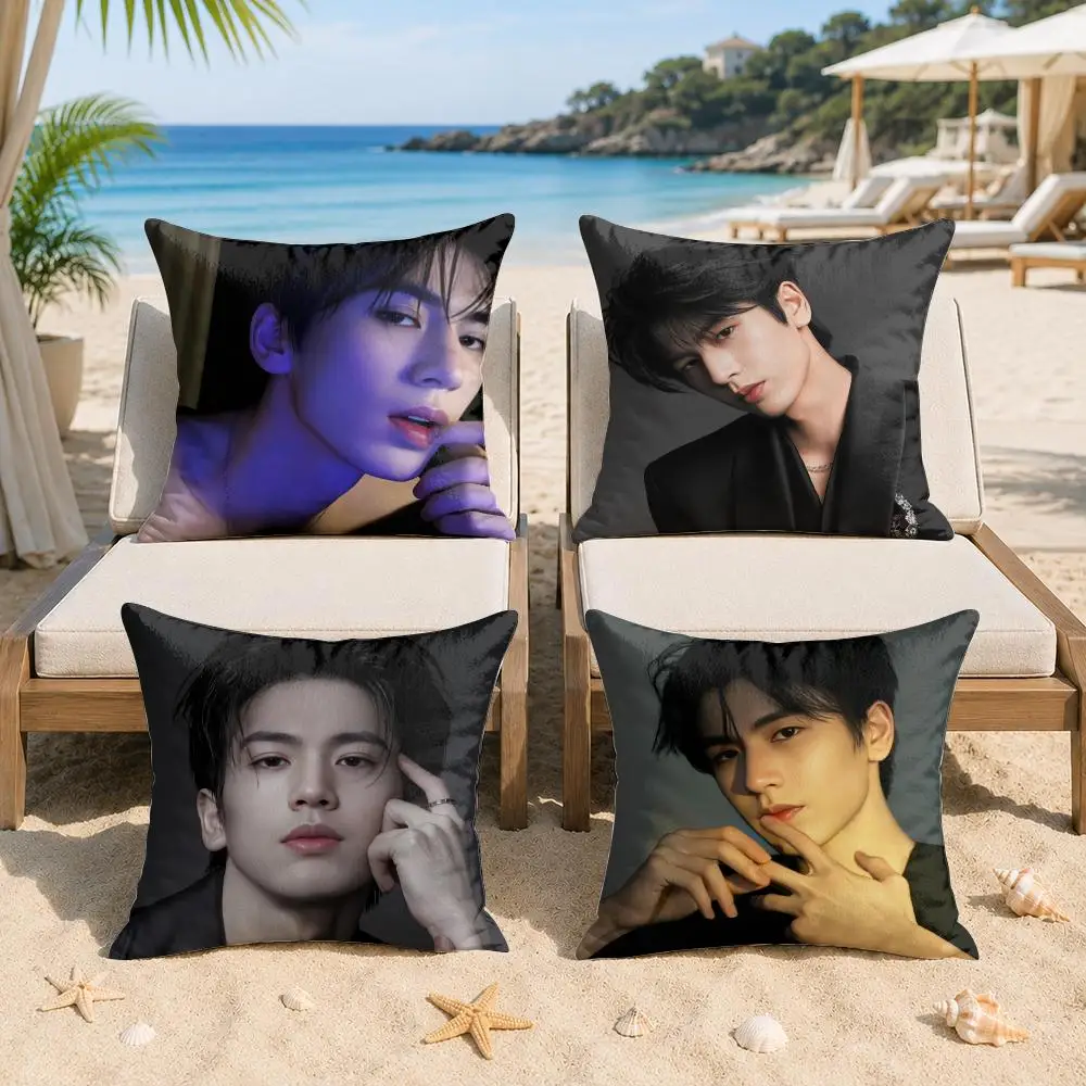 Actor Z-Zhang Linghe Cushion Cover Silky Short Plush Invisible Zipper Dustproof Sofa Pillow Case For Home Decor