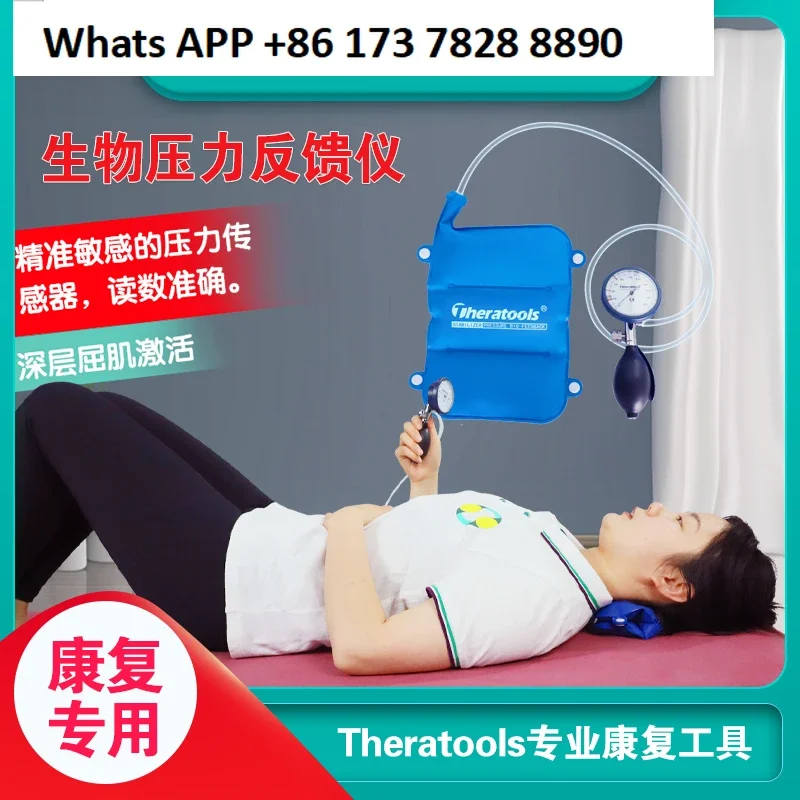 

Theratools Biopressure Feedback Instrument STABILIZER Core Muscle Cervical Spine Rehabilitation Health Detector
