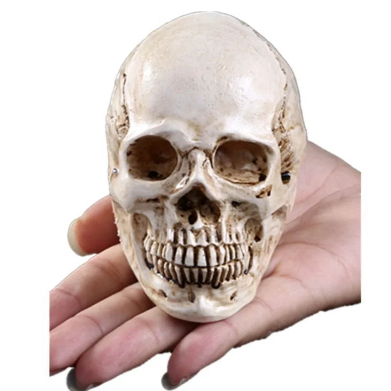 

Реквизит для Хэллоуина, украшение для дома, обучающий череп из смолы