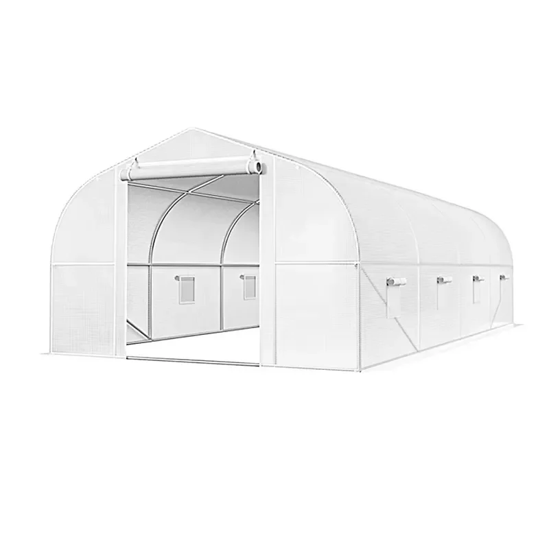 Walk-in Tunnel Greenhouse for Agricultural Home Use Portable Plant Hot House Made of Galvanized Steel