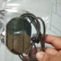 WL