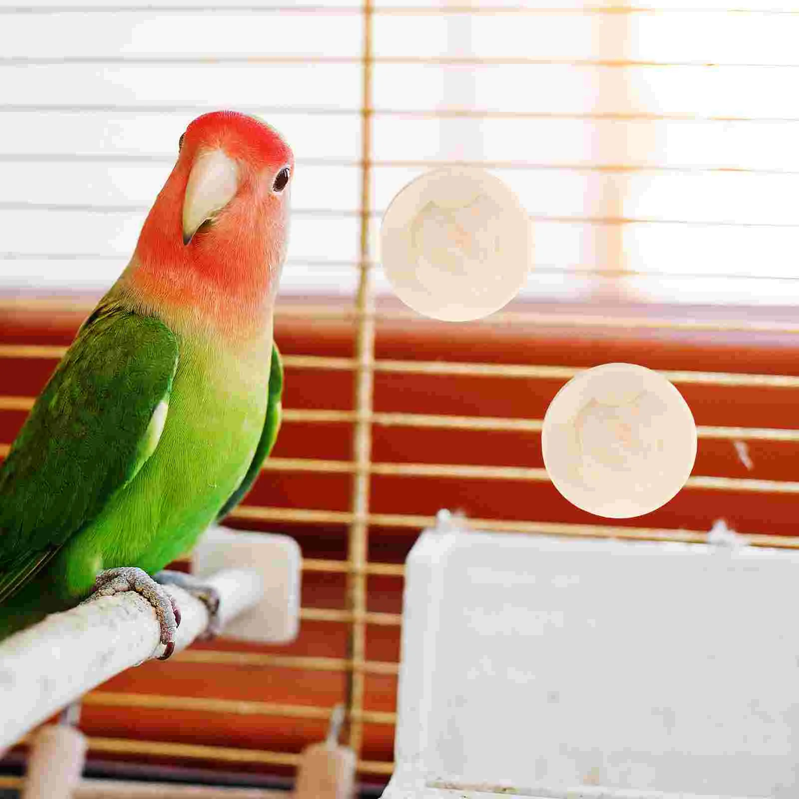 2 Pcs Solid Wood Screws Birdcage Perch Hanging Part Fix Nuts Springboard Wooden Feeder Accessory Portable