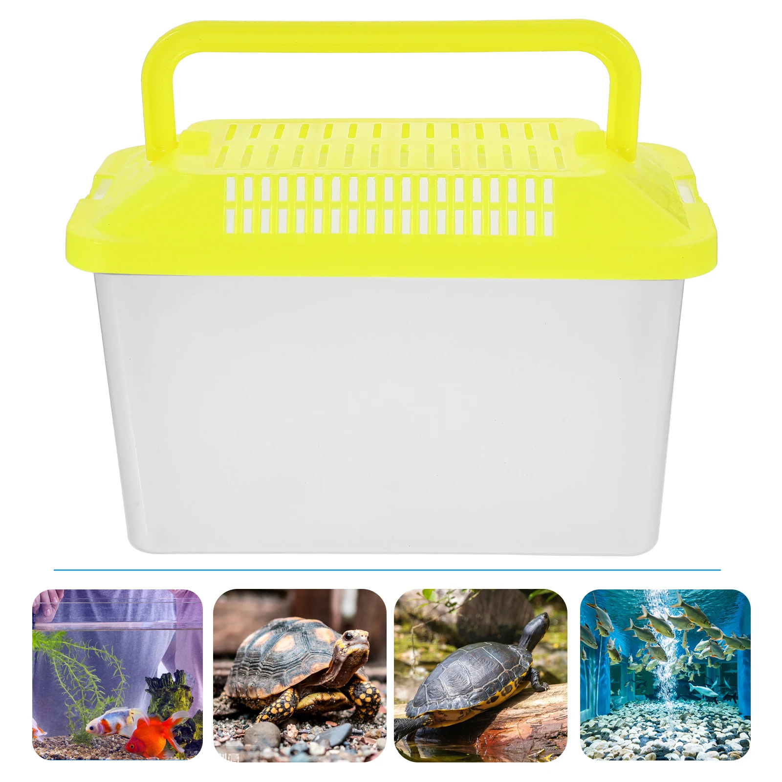 Transparent Turtle Box Plastic Handheld Fish Tank Creative Design Environment for Reptile Pet Carrier Breeding