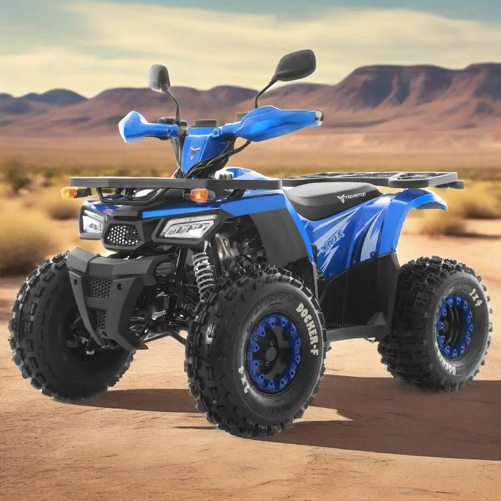 Tao Motor 2025 New Automatic Chain Drive 125cc ATV Quad Bike Moto 4 Wheel Motorcycles