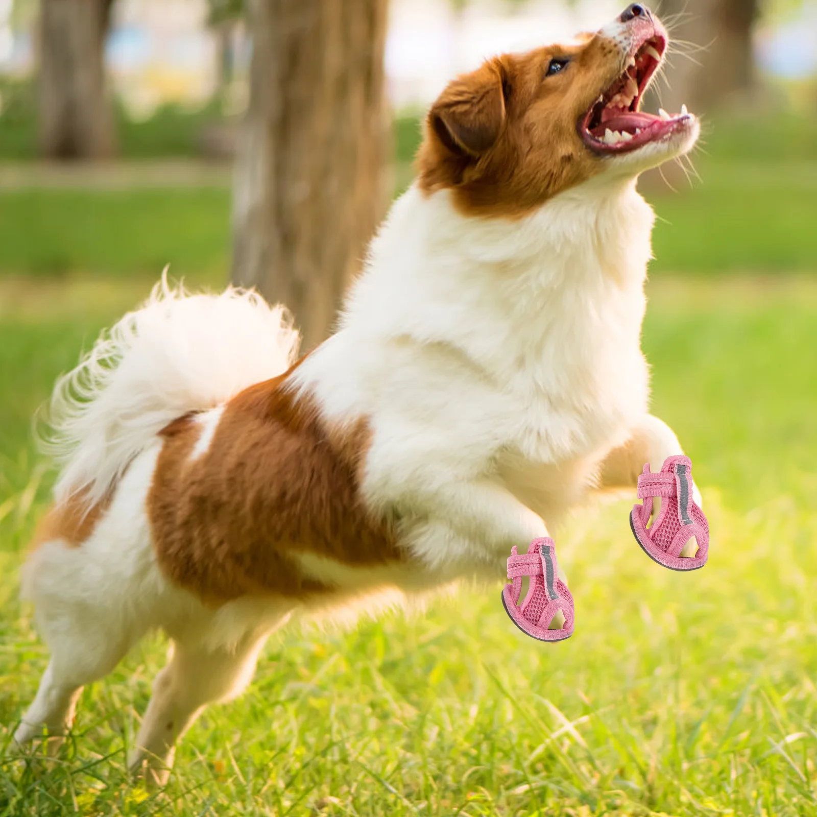 

4Pcs Dog Sandal Summer Ventilated Mesh Pet Shoes Non-Slip Comfortable Fit for Dogs on Hot Surfaces Size 3 Dog Shoes