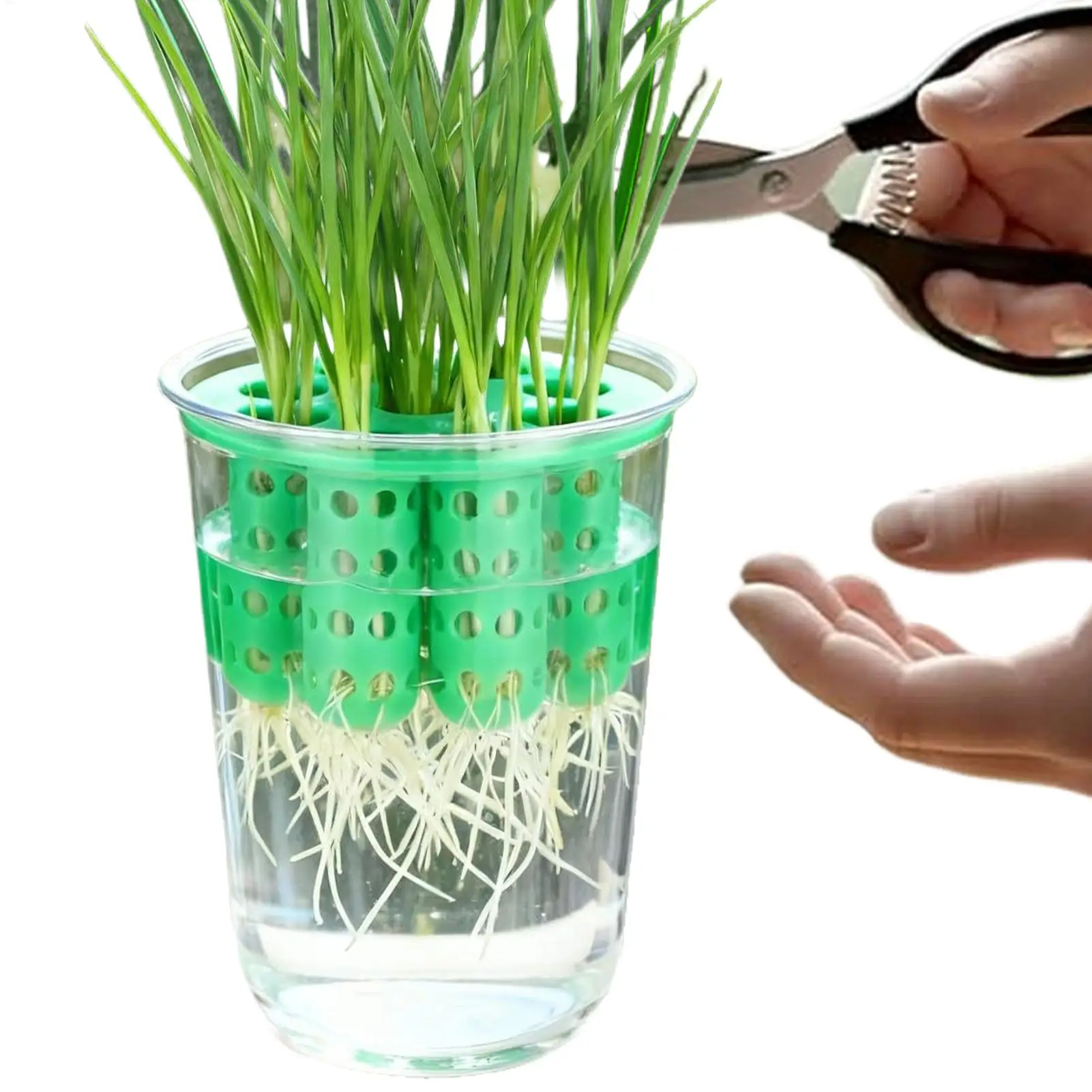 Frühlingszwiebel-Pflanzgefäß, transparent, wiederverwendbar, Hydroponik-System, Frühlingzwiebel-Keimset für Fensterbrett, Garten, Zuhause
