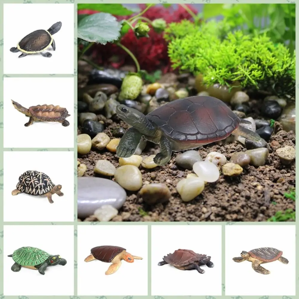 

Lifelike Realistic Simulation Turtle Vinyl Artificial Tortoise Turtle Miniatures For Aquarium