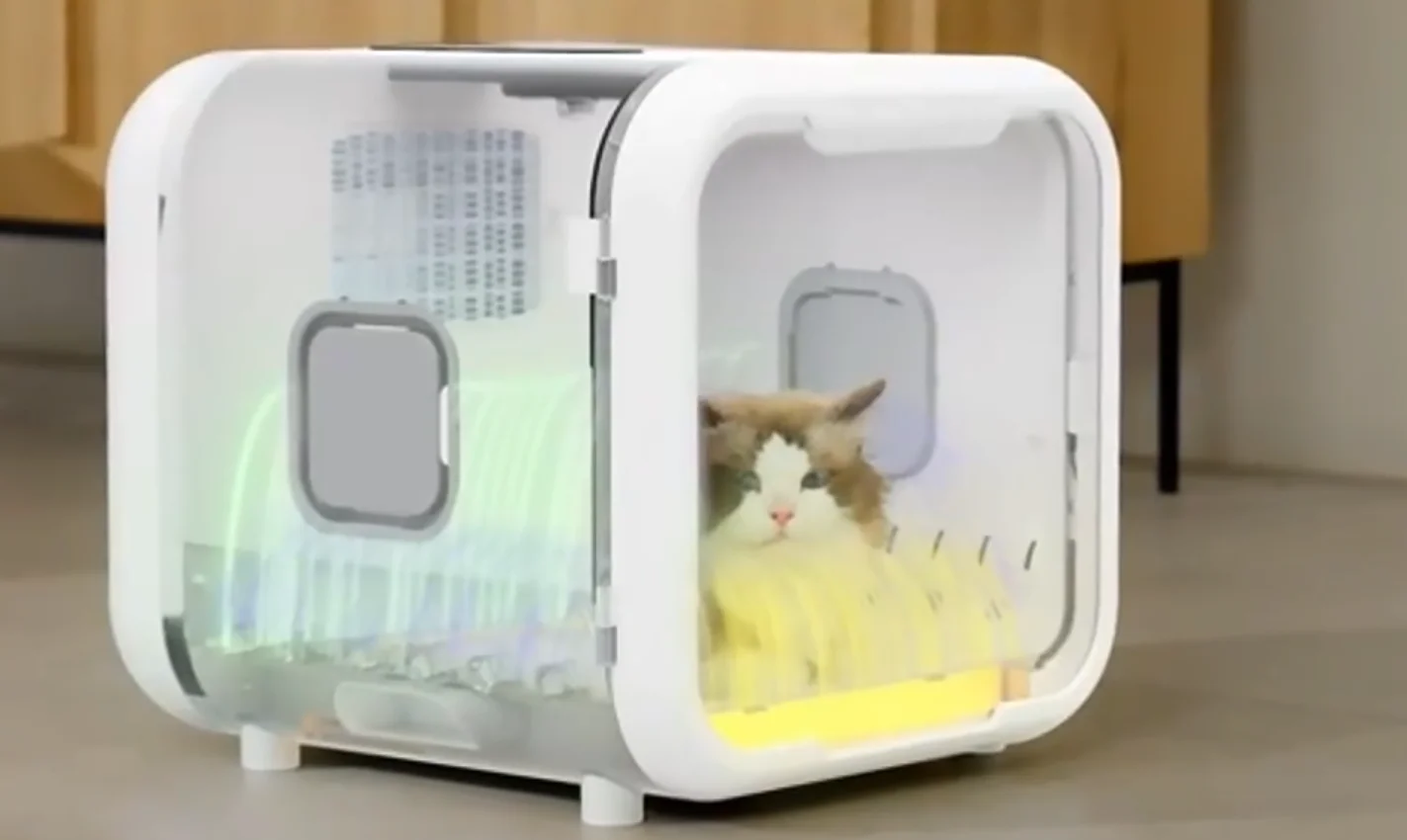 Smart Dog Hair Dryer for Cat Quiet Automatic Pet Dryer Box Smart Temperature Control 360 Degree Cat Drying Box for Cat Puppy