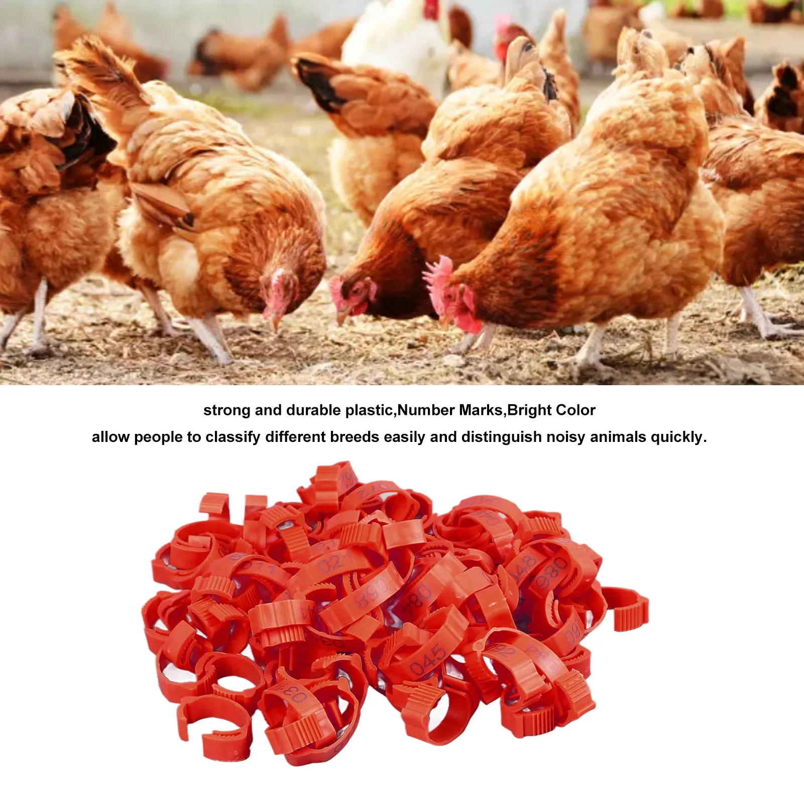 100Pcs Chicken Leg Rings Clip On Bright Color Sturdy Plastic Numbered Poultry Leg Bands For Birds Ducks Goose Gamefowl