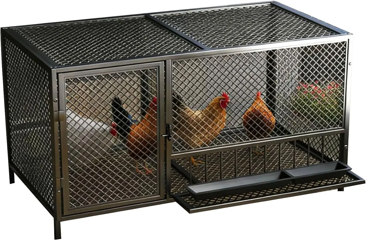 Metal Chicken House Galvanized Steel Square Tube Independent Feeding Gate