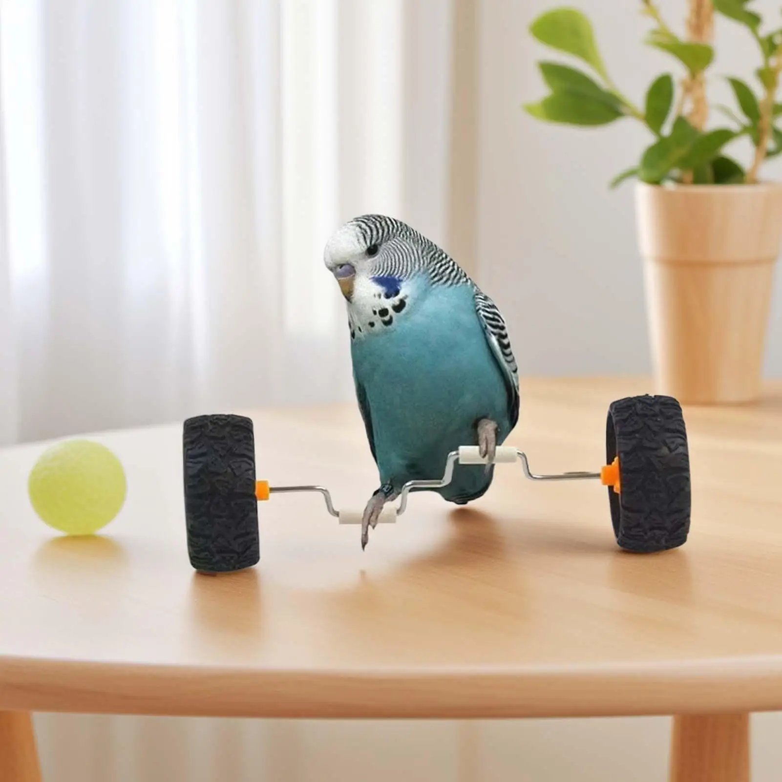 Bicicleta de equilibrio para loros, juguete de bicicleta de equilibrio, rodillo de fila interactivo, diversión, inteligencia, enriquecimiento, cacatúas, vehículo de equilibrio para el hogar