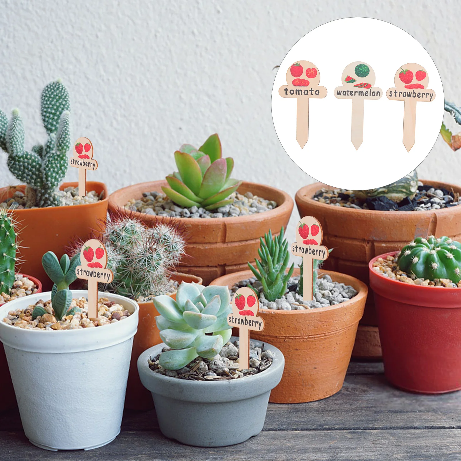 

30Pcs Plant Marker Labels Wooden Garden Tags for Plants Outdoor Vegetable Seedling Label Stakes Farm Herb Name Markers