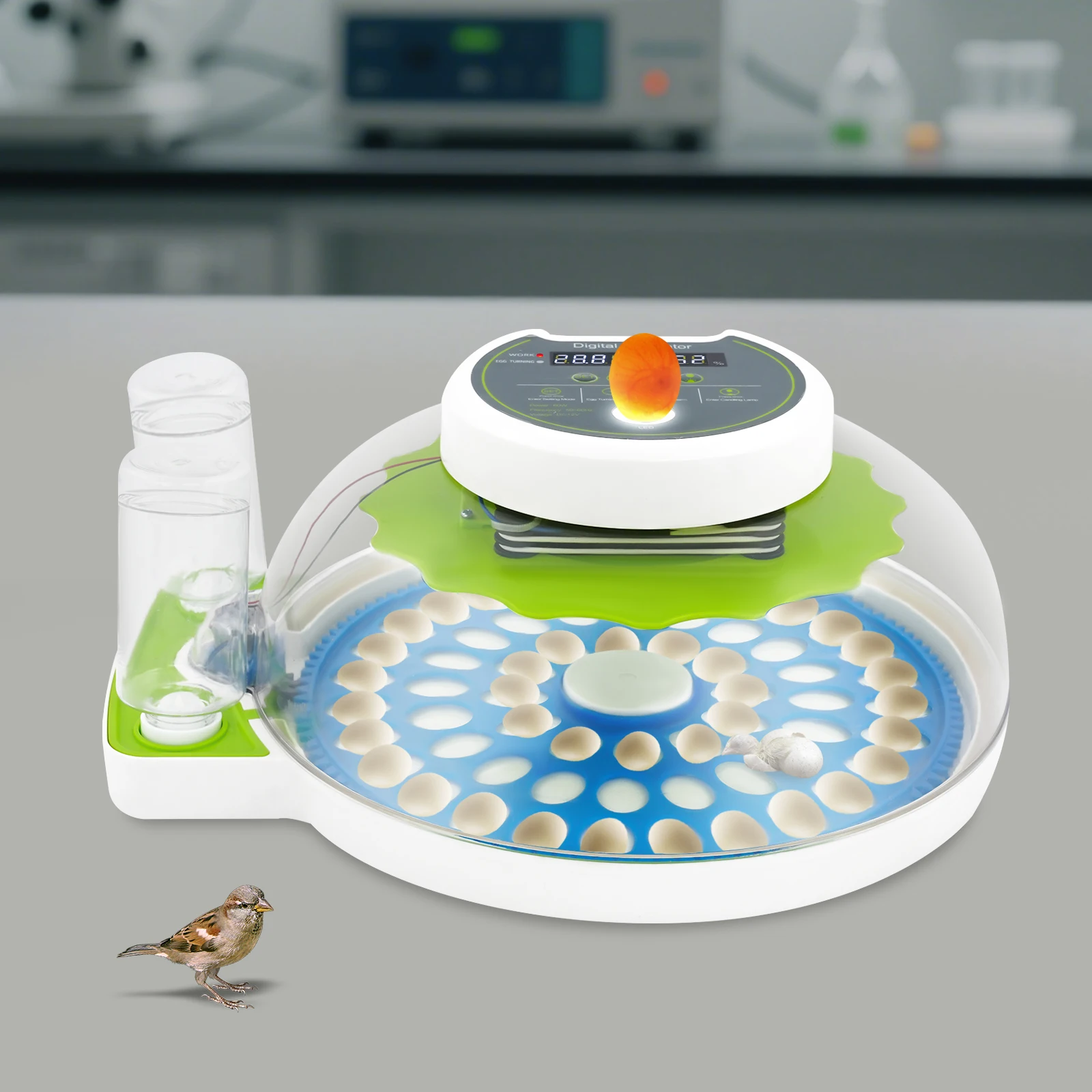 Incubadora de Huevos de Codorniz, Incubadora Automática para 60 Huevos con Pantalla LED, Control Automático de Temperatura y Volteo de Huevos, Doble Alimentación para Aves Pequeñas y Aves de Corral