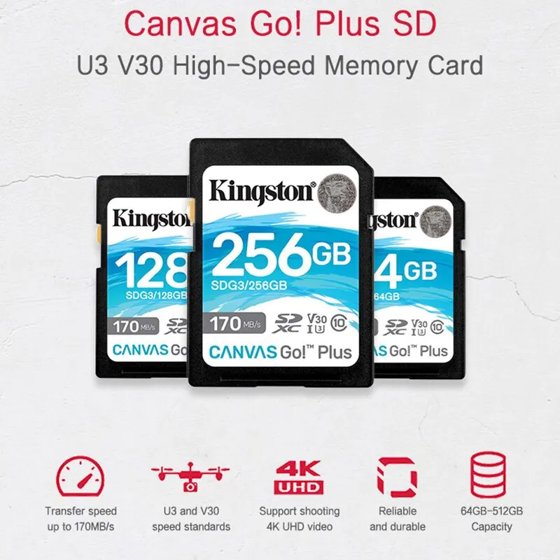 Kingston SD Card 64GB 128GB 256GB SDG3 Memory Cards Up to 170MB/s Read V30 U3 Flash Card C10 for Camera