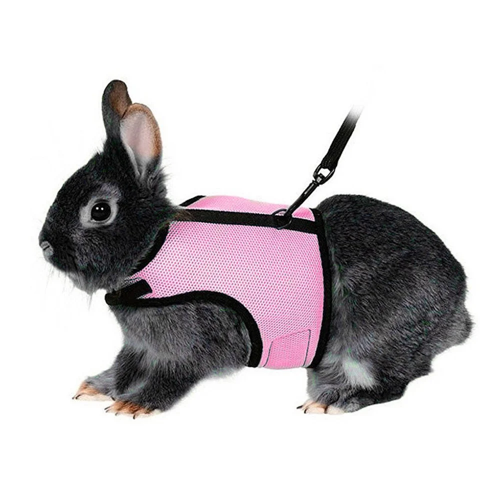 

Pet Harness for Small Rabbits 120cm Elastic Leash Durable Polyester Padded Adjustable Chest Stomach Harness