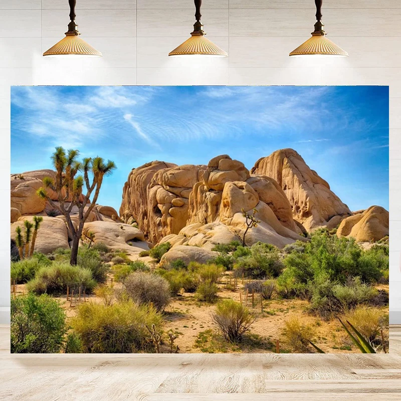 Joshua Tree National Park Photography Backdrop Arid Barren Cactus Sandstone Rock Climate Mountain Scenery Desert Background