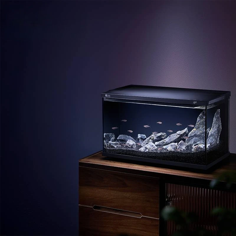 

Smart aquarium 20-gallon desktop glass fish tank with aquarium pump filter and automatic fish feeder