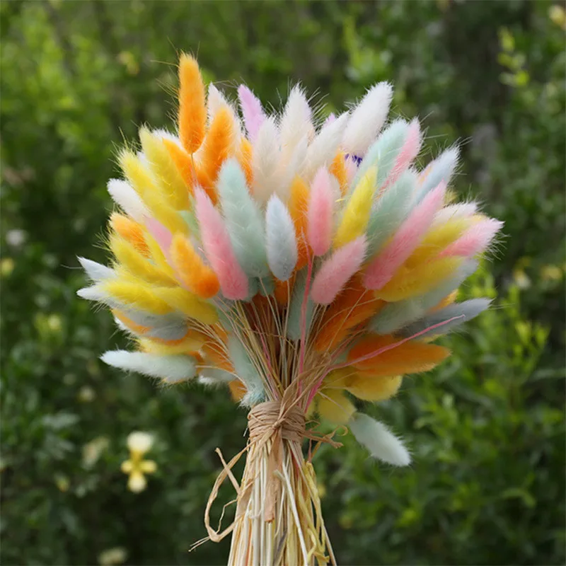 

30pcs Dry Flowers Colorful Rabbit Tail Grass Dried Flowers DIY Home Wedding Garden Decoration Party Supplies Flores Artificiales