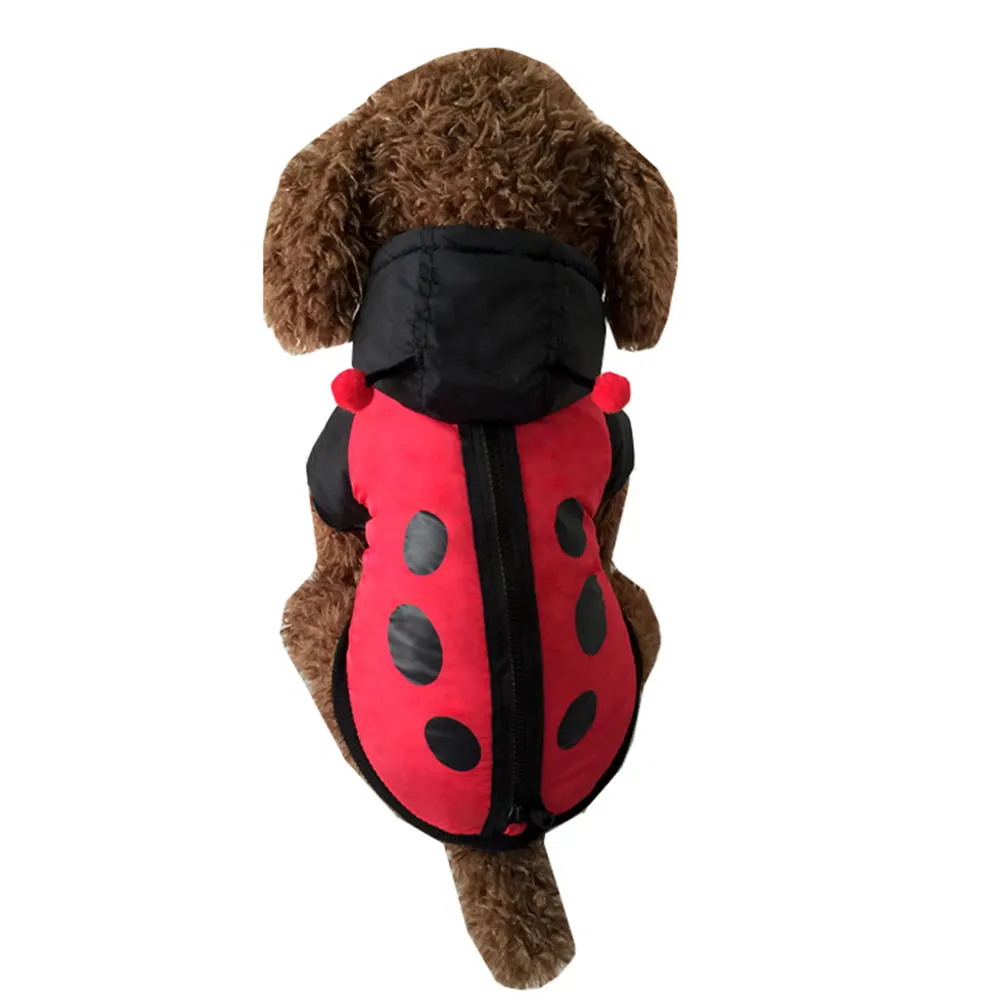 

Cat Clothes Ladybug Dog Cotton Coat Small Halloween Pet Costume Cake Kitten Costumes Miss for