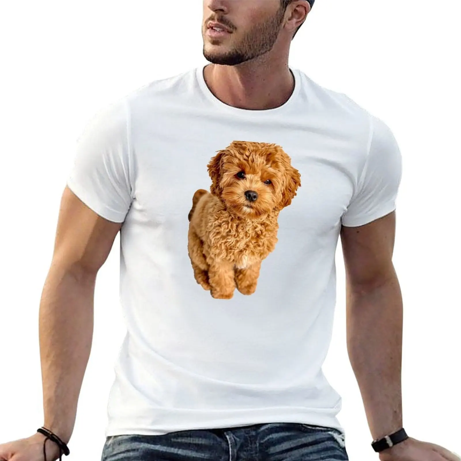 Cavapoo T-Shirt baggy shirts rapper graphic tees plain t shirts men