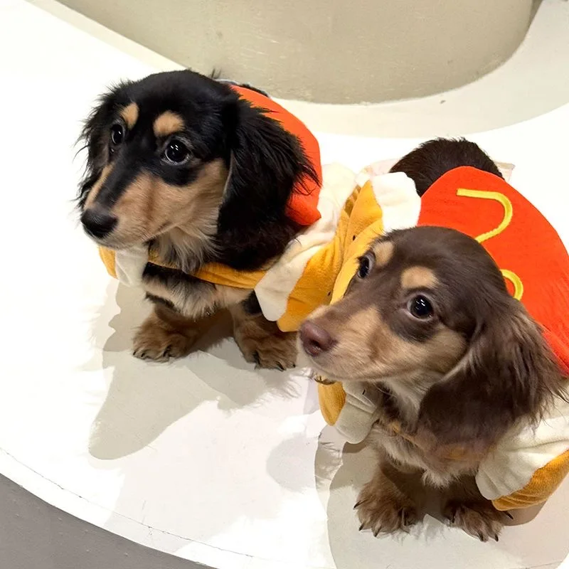 Funny Holiday Dog and Cat Pet Costumes Adjustable Clothes Pet Costume Cosplay Cute Dachshund Party Costumes view 4
