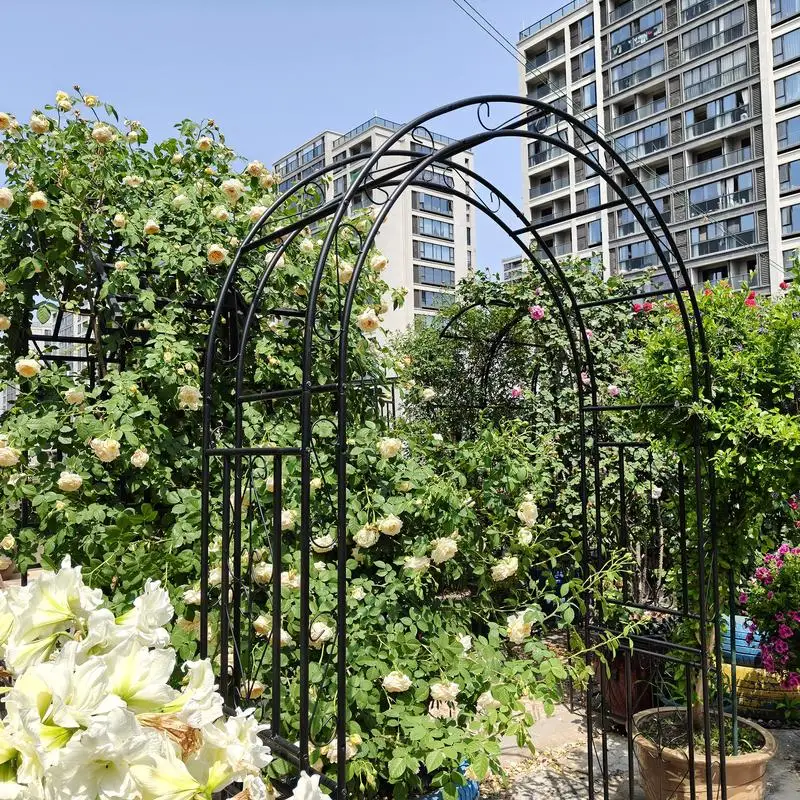 قوس حديقة معدني مقاس 59 بوصة × 17.7 بوصة × 90.6 بوصة يدعم نباتات التسلق قوس وردي خارجي أسود #5